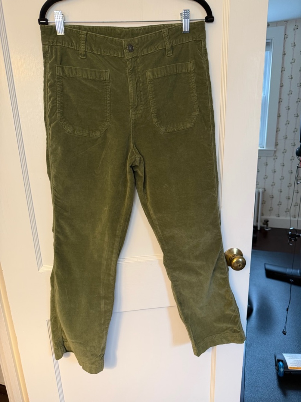 Free People Olive Green Velvet Straight Leg Flat Front Pants Size 12